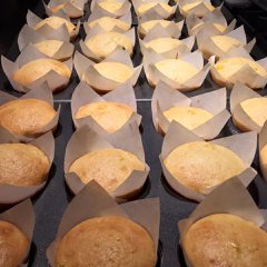 Corn Muffins served with Honey Butter!