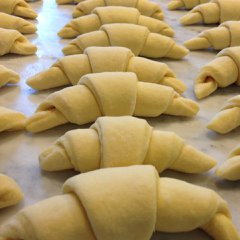 Plain Croissants