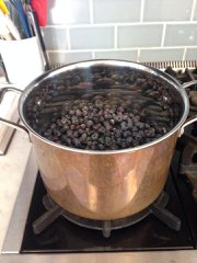 Fresh picked blueberry compote reduction